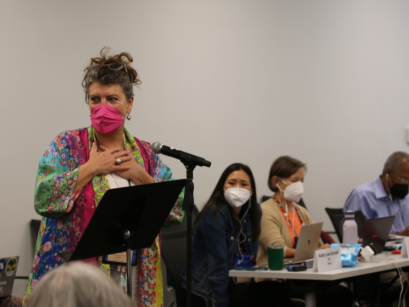 Elizabeth Archer Klein speaks to a motion at the International Engagement Committee meeting on June 27, 2022, at the 225th General Assembly of the Presbyterian Church (U.S.A.) in Louisville, Kentucky. (Photo by Randy Hobson) 