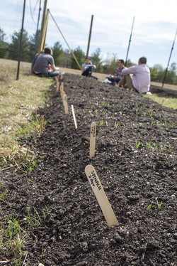 Princeton Theological Seminary students grab their shovels and head to the campus’s working farm, where they’re combining faith and agriculture.