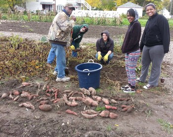 Harvest Holy Ground garden