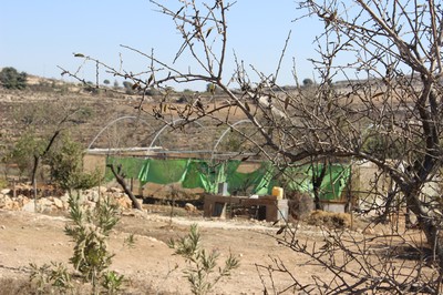 Tent of Nations