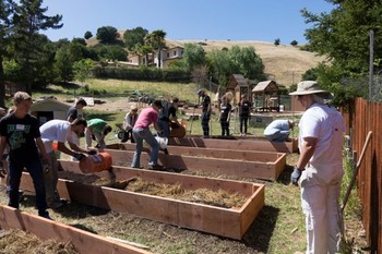 Youth from the Sleepy Hollow Presbyterian Church prepare gardens for planting.