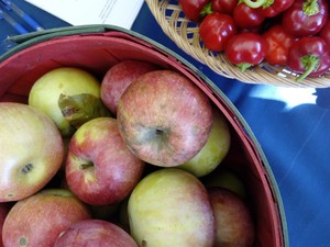 Apples and peppers grown at Stony Point.