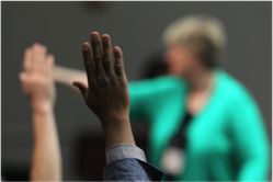 voting at the assembly